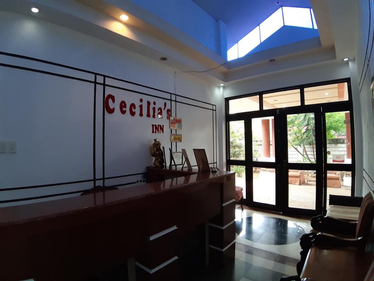 Cecilia'S Inn Puerto Princesa Kültér fotó